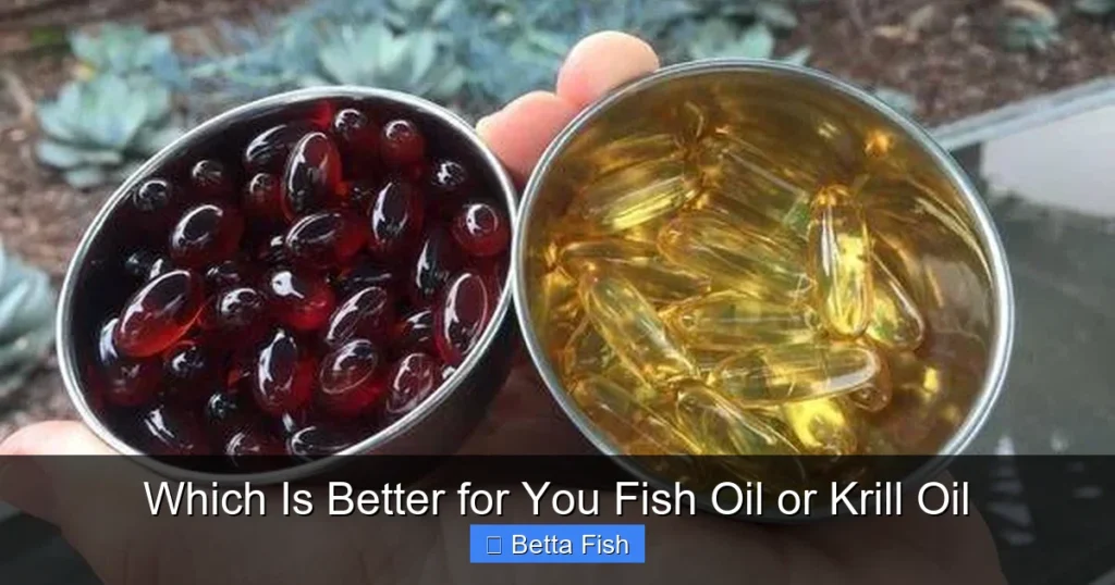 Which Is Better for You Fish Oil or Krill Oil