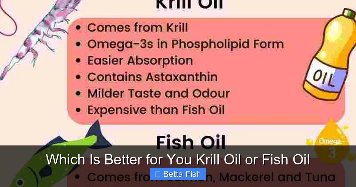 Which Is Better for You Krill Oil or Fish Oil