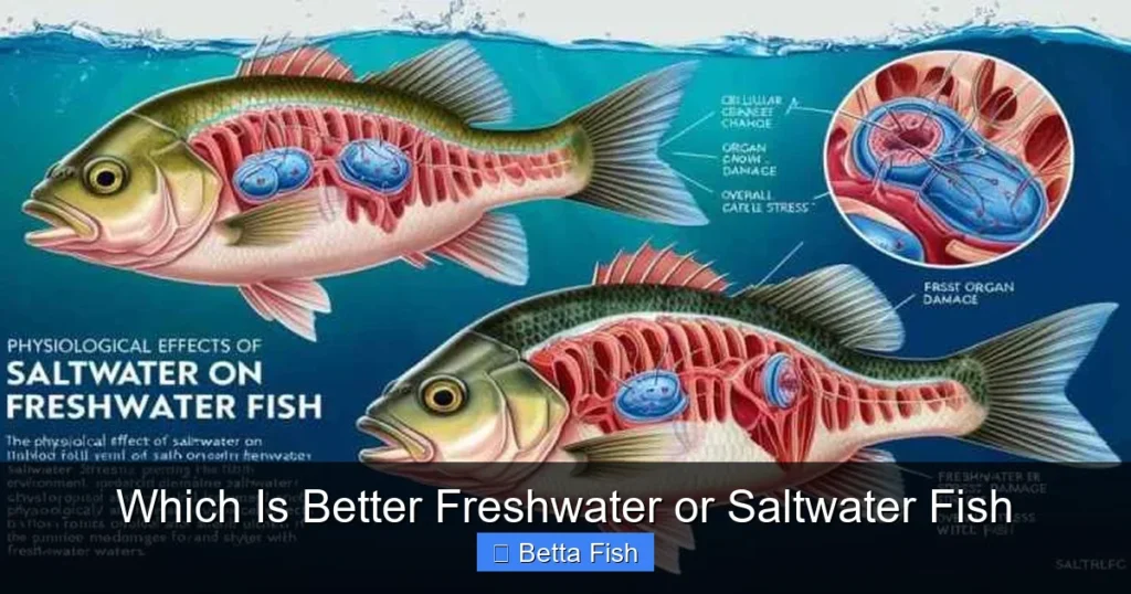 Which Is Better Freshwater or Saltwater Fish