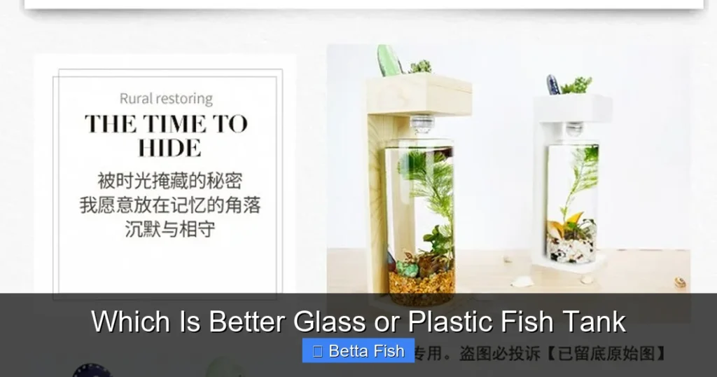 Which Is Better Glass or Plastic Fish Tank