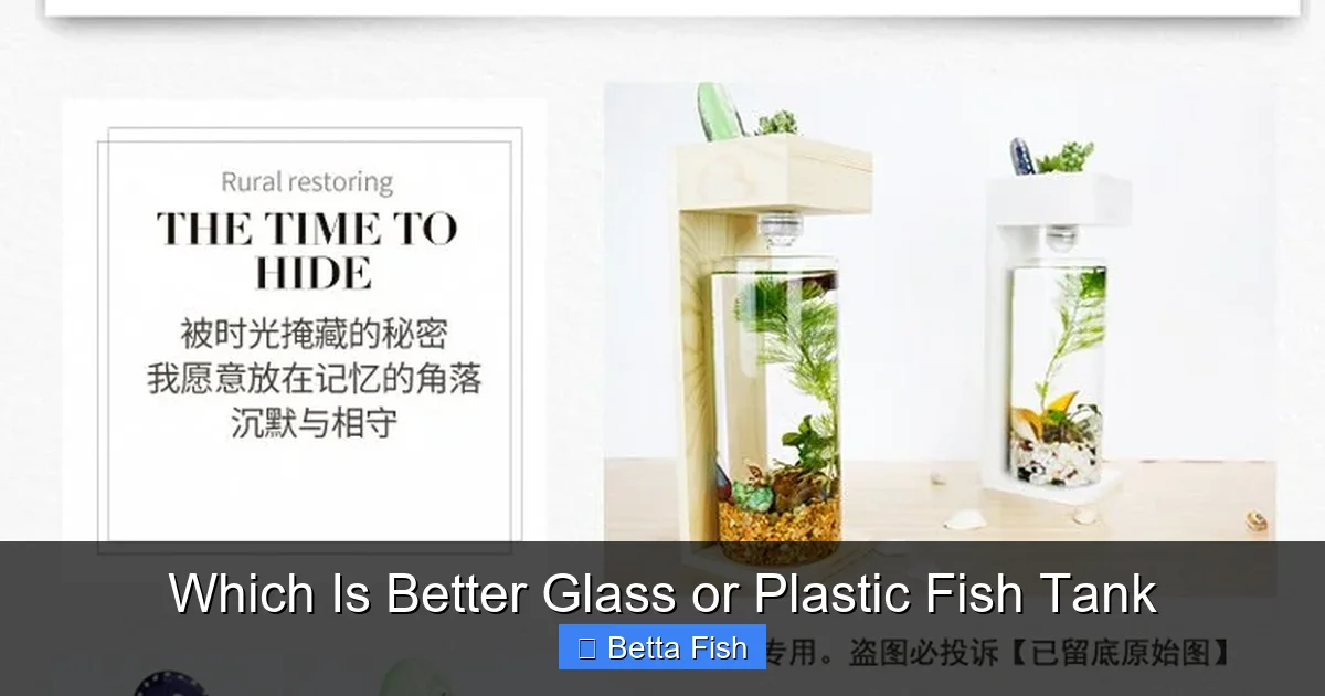 Which Is Better Glass or Plastic Fish Tank