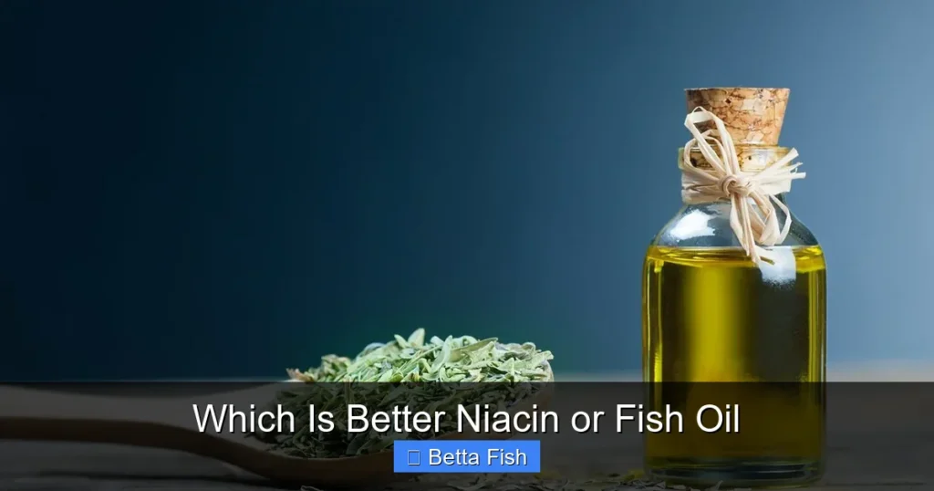 Which Is Better Niacin or Fish Oil