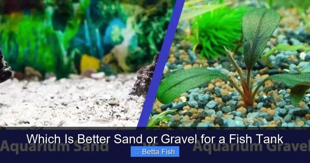 Which Is Better Sand or Gravel for a Fish Tank
