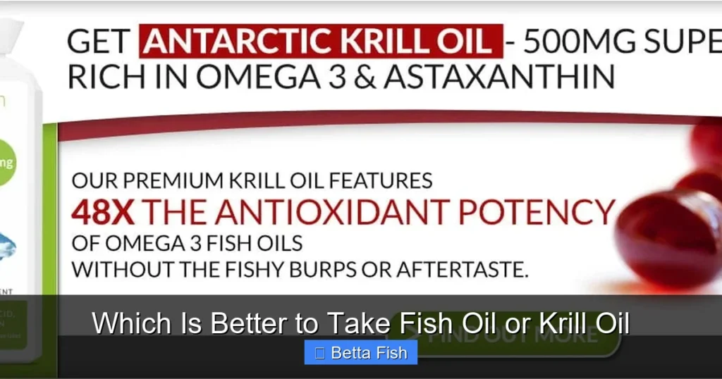 Which Is Better to Take Fish Oil or Krill Oil