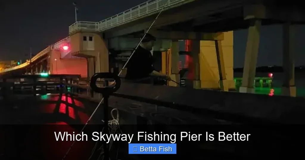 Which Skyway Fishing Pier Is Better