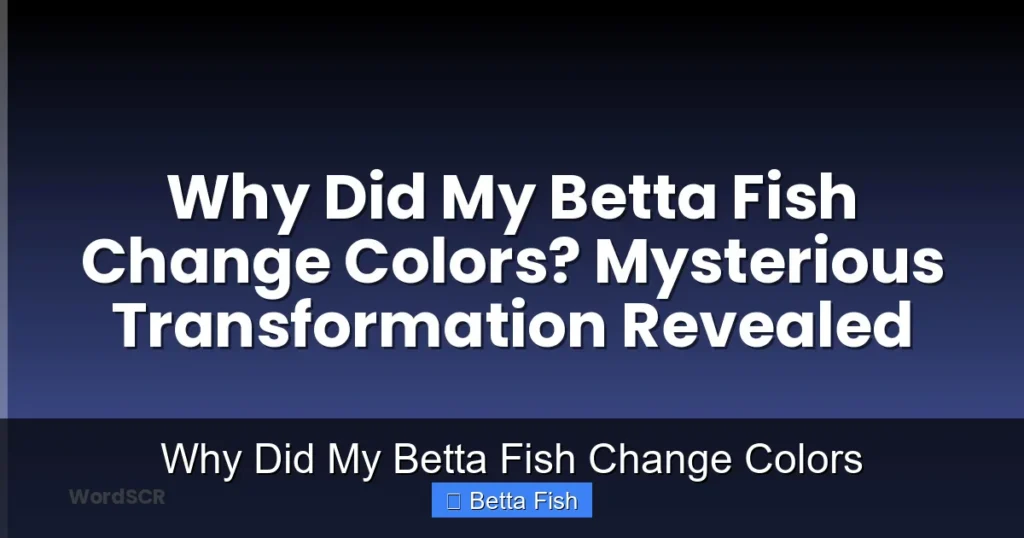 Why Did My Betta Fish Change Colors