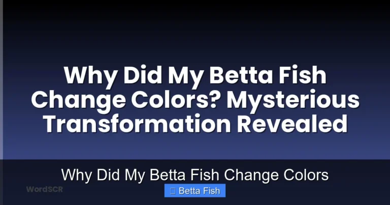 Why Did My Betta Fish Change Colors