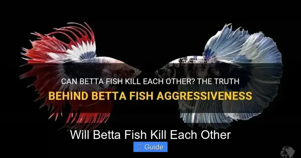Will Betta Fish Kill Each Other