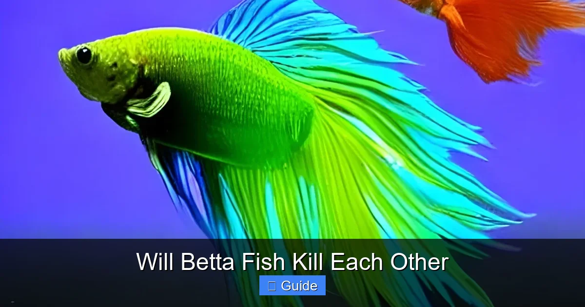 Will Betta Fish Kill Each Other