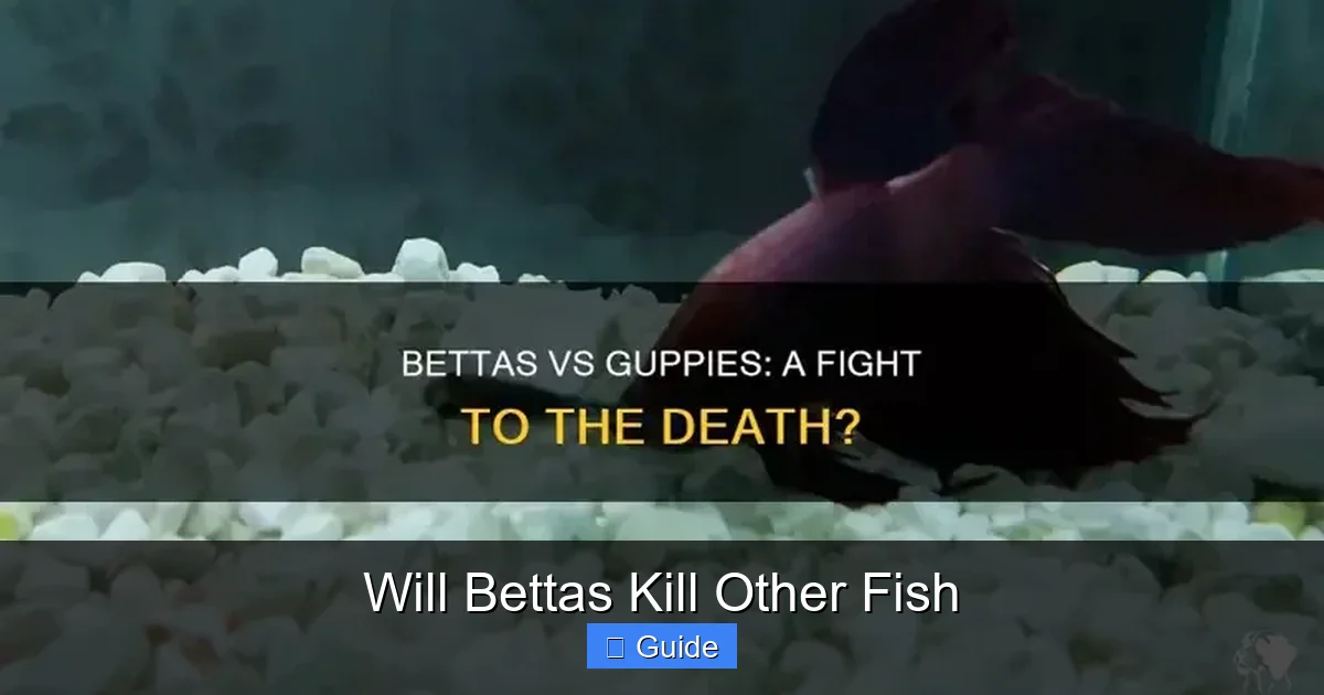 Will Bettas Kill Other Fish