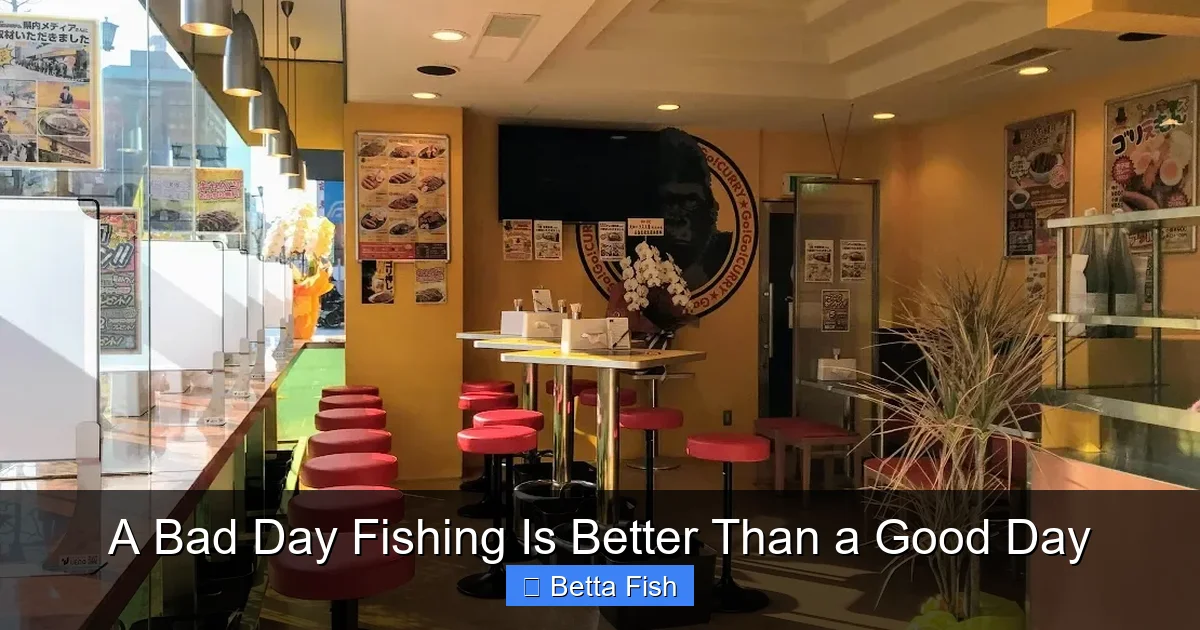 A Bad Day Fishing Is Better Than a Good Day