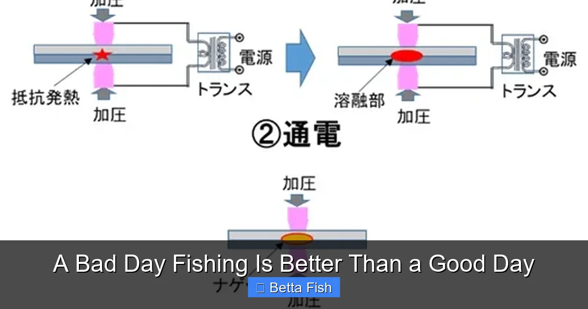 A Bad Day Fishing Is Better Than a Good Day