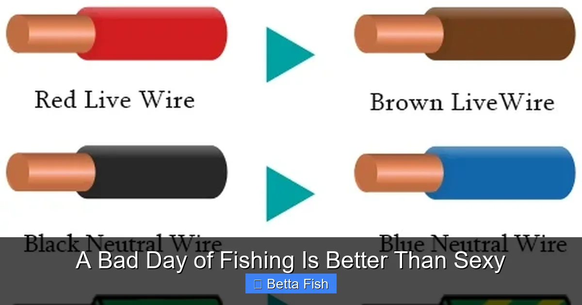 A Bad Day of Fishing Is Better Than Sexy
