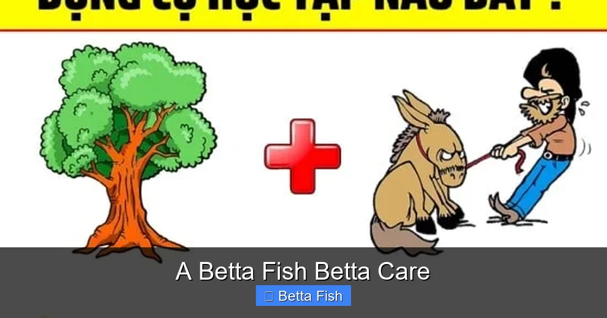 A Betta Fish Betta Care