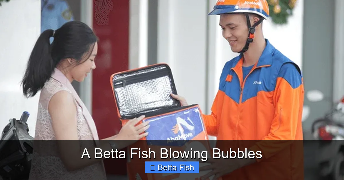 A Betta Fish Blowing Bubbles