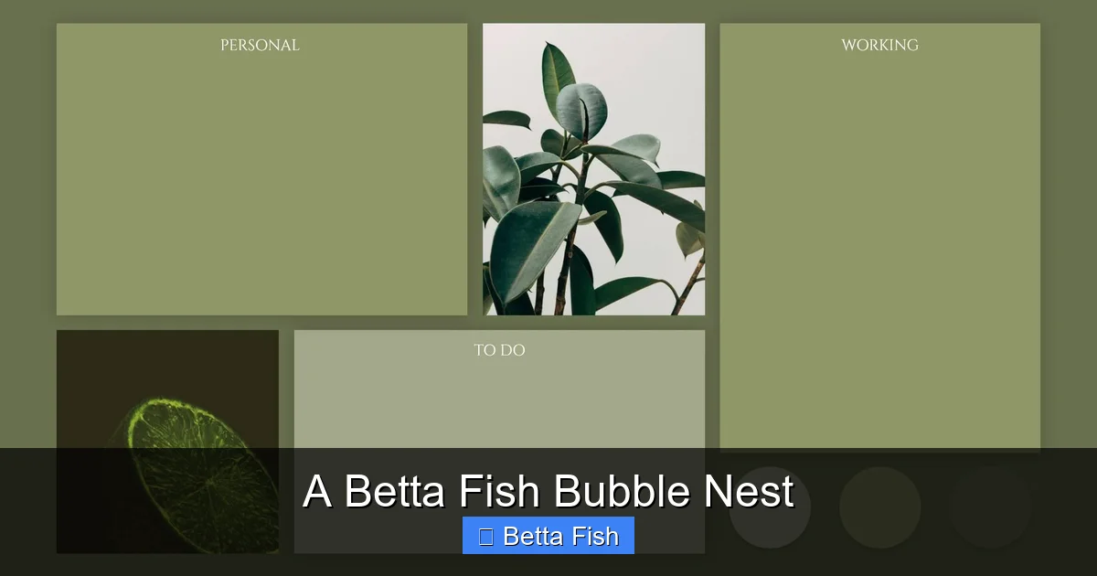 A Betta Fish Bubble Nest