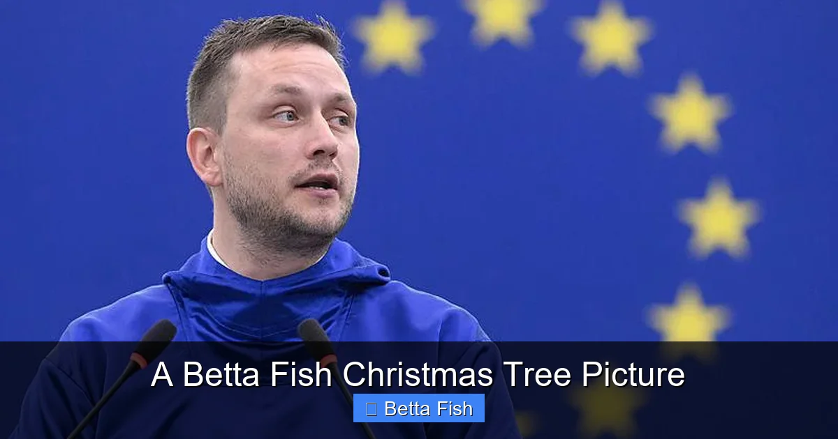 A Betta Fish Christmas Tree Picture