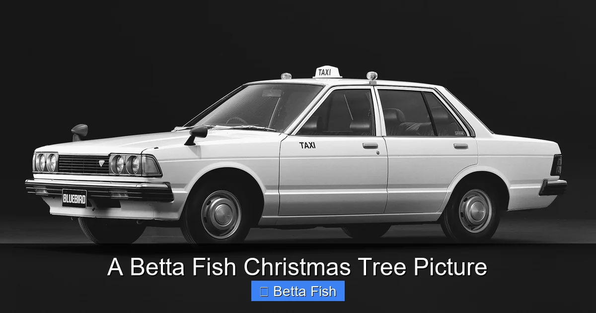 A Betta Fish Christmas Tree Picture