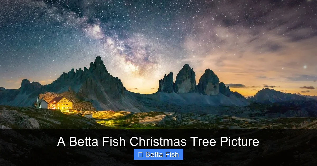 A Betta Fish Christmas Tree Picture