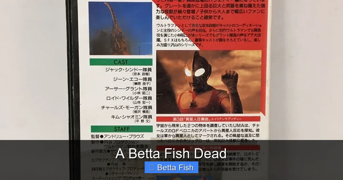 A Betta Fish Dead