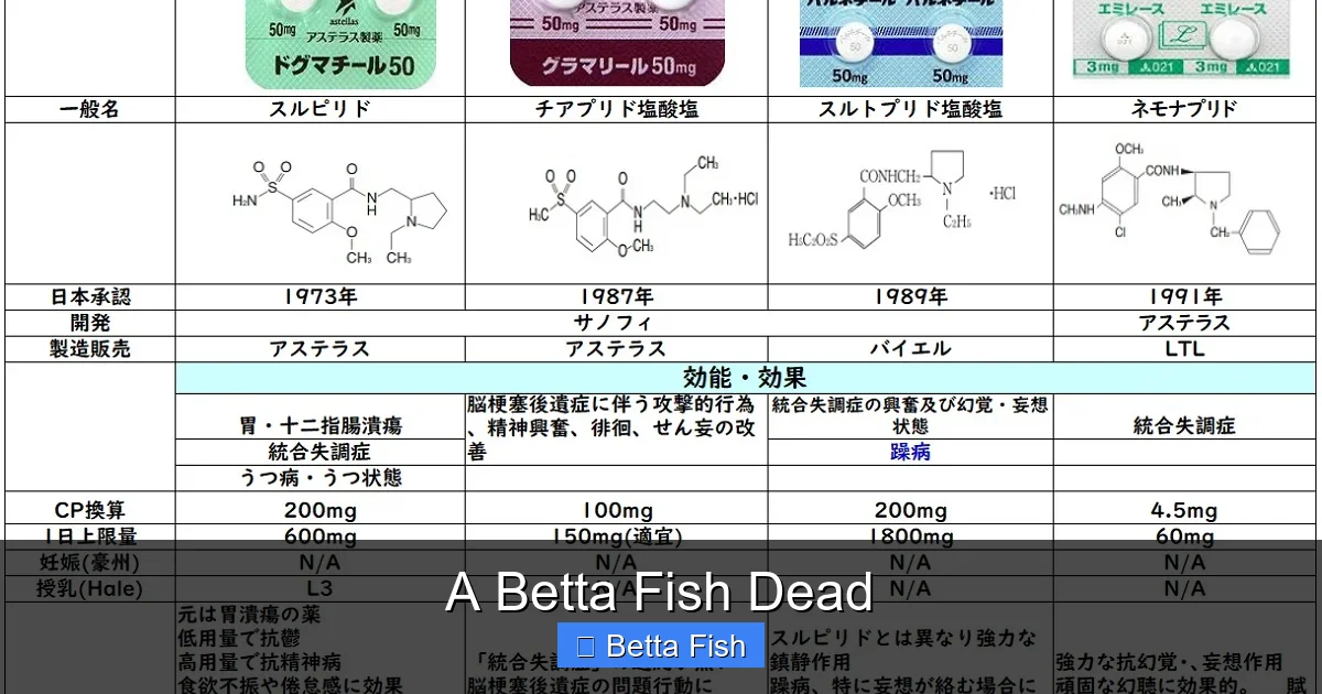 A Betta Fish Dead