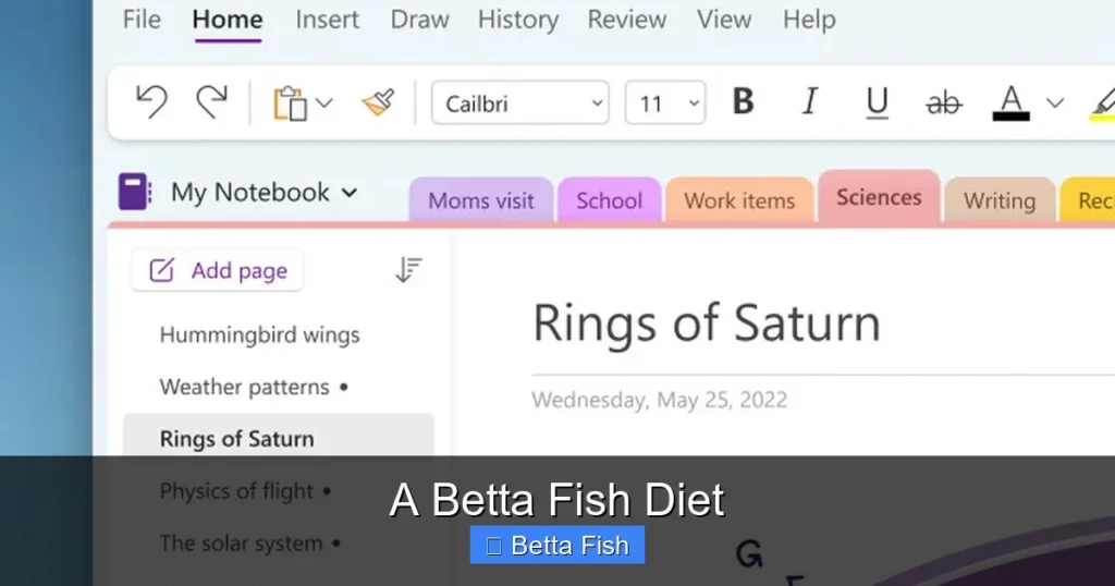A Betta Fish Diet