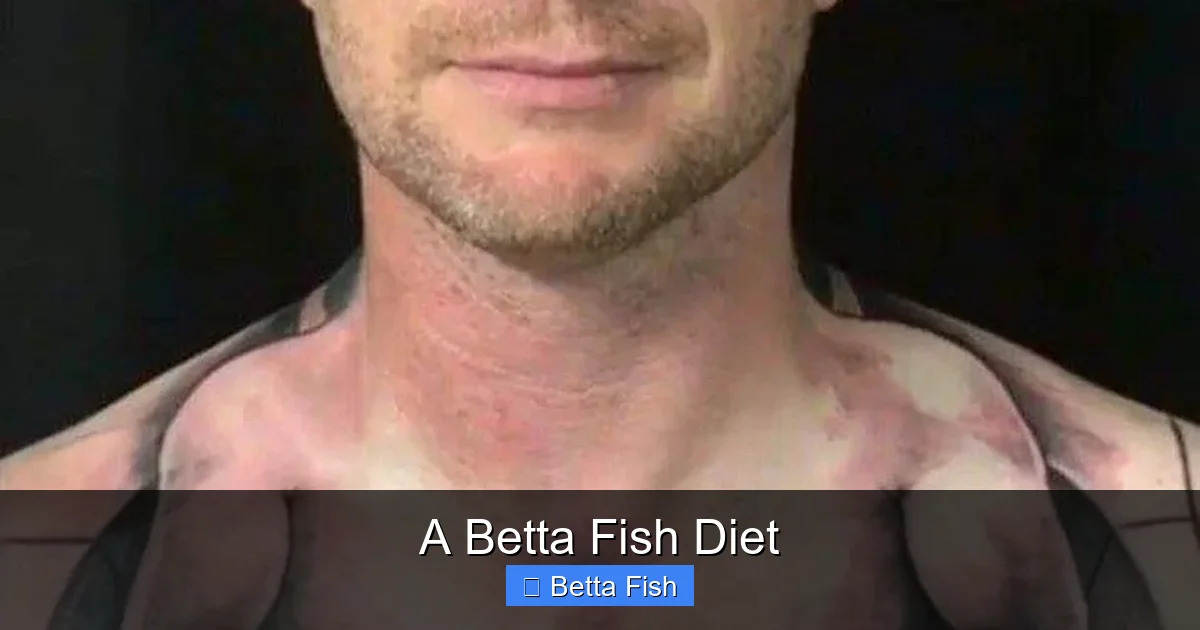 A Betta Fish Diet