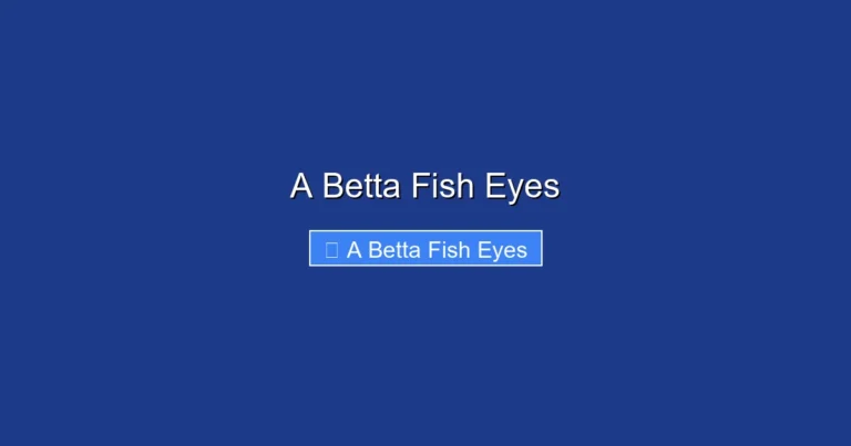 A Betta Fish Eyes