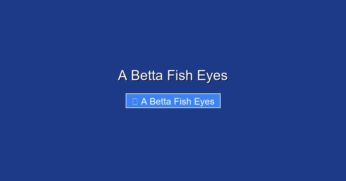 A Betta Fish Eyes
