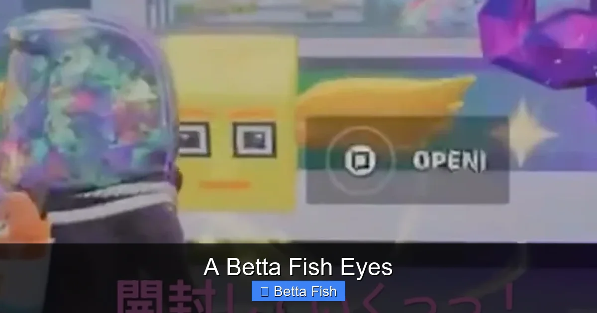 A Betta Fish Eyes