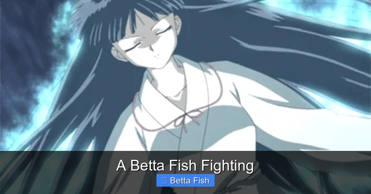 A Betta Fish Fighting