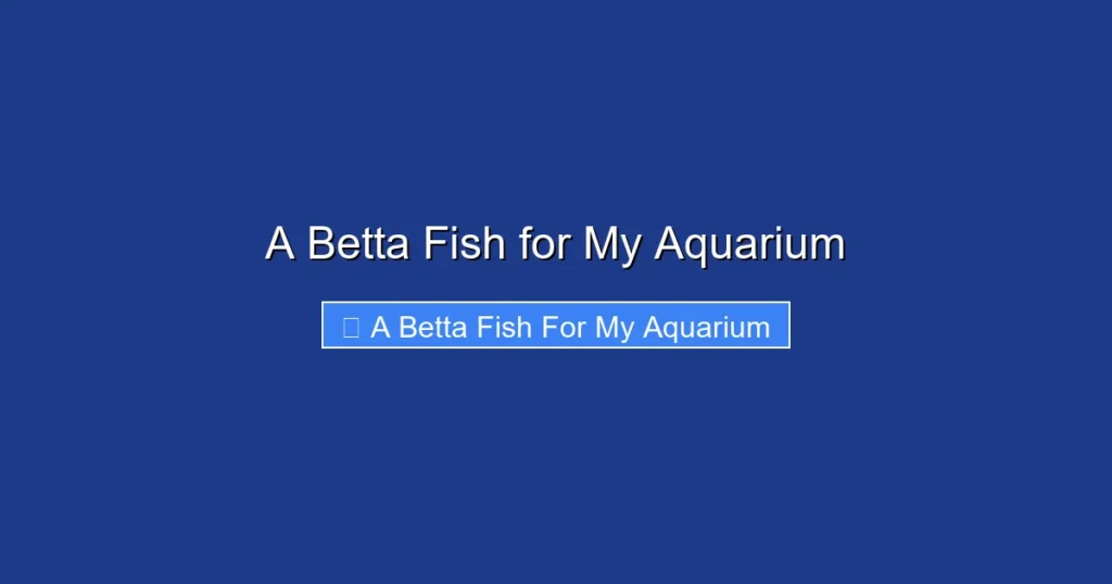A Betta Fish for My Aquarium