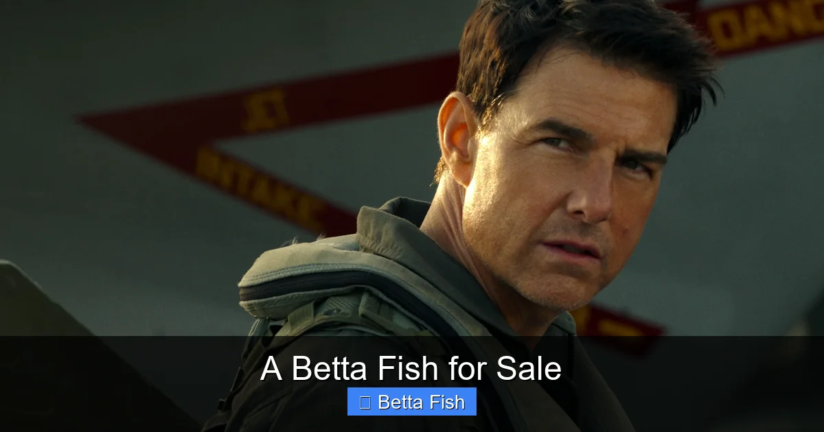 A Betta Fish for Sale