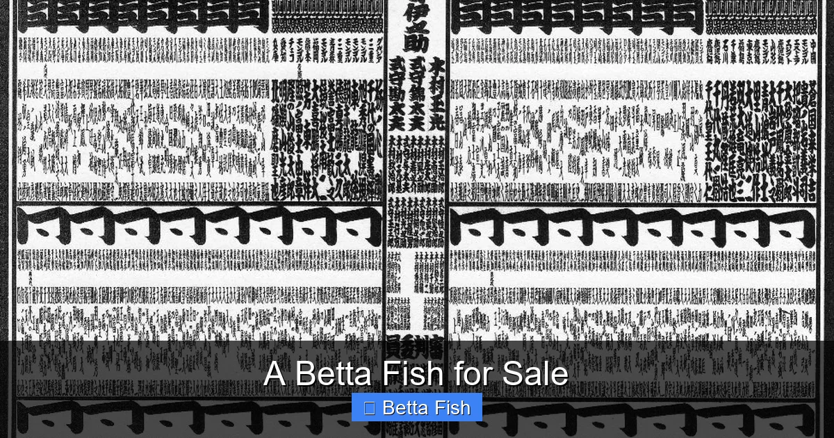 A Betta Fish for Sale