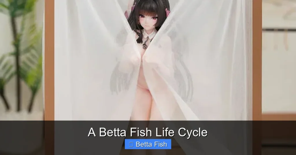 A Betta Fish Life Cycle