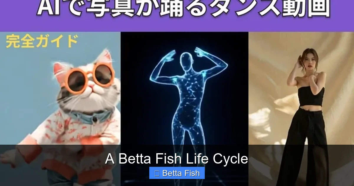 A Betta Fish Life Cycle