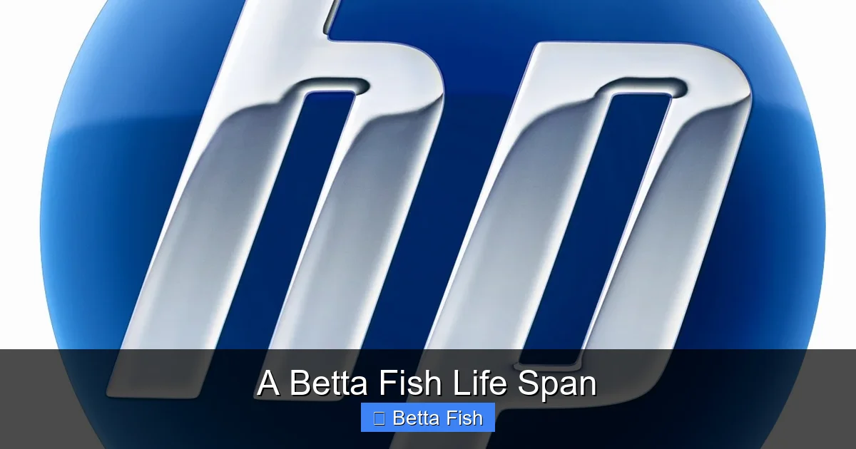 A Betta Fish Life Span