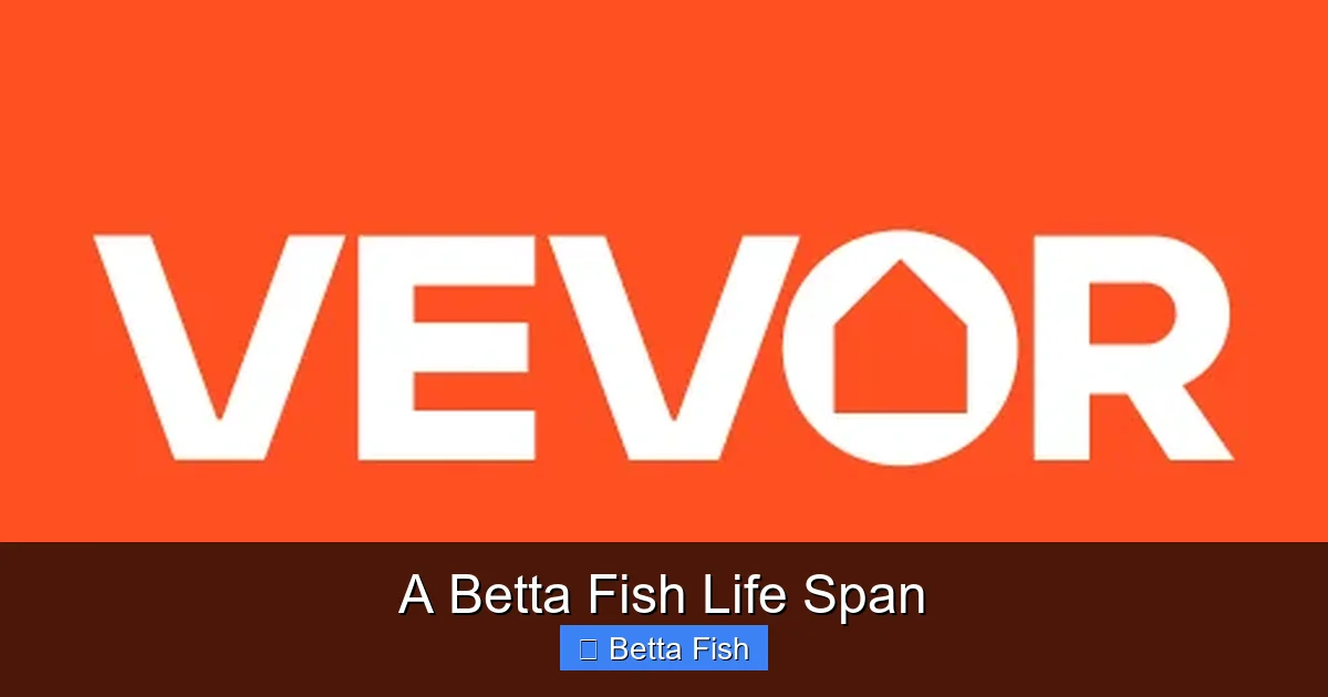 A Betta Fish Life Span