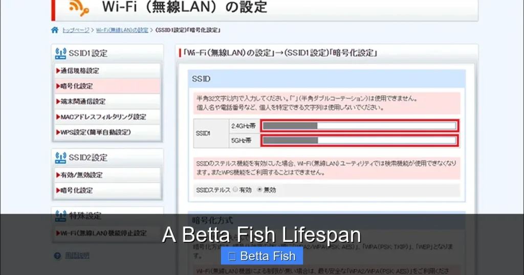 A Betta Fish Lifespan