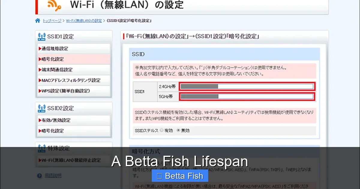 A Betta Fish Lifespan
