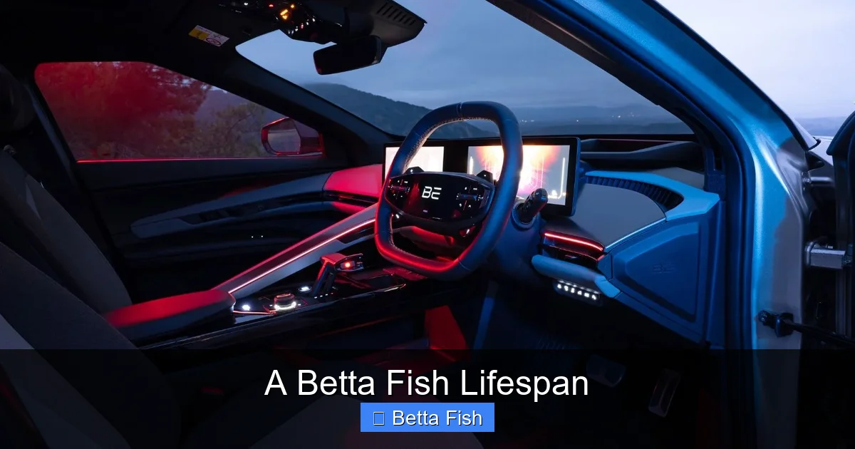 A Betta Fish Lifespan