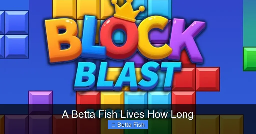 A Betta Fish Lives How Long