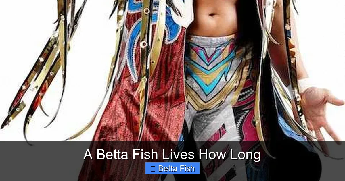 A Betta Fish Lives How Long