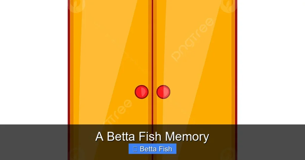A Betta Fish Memory