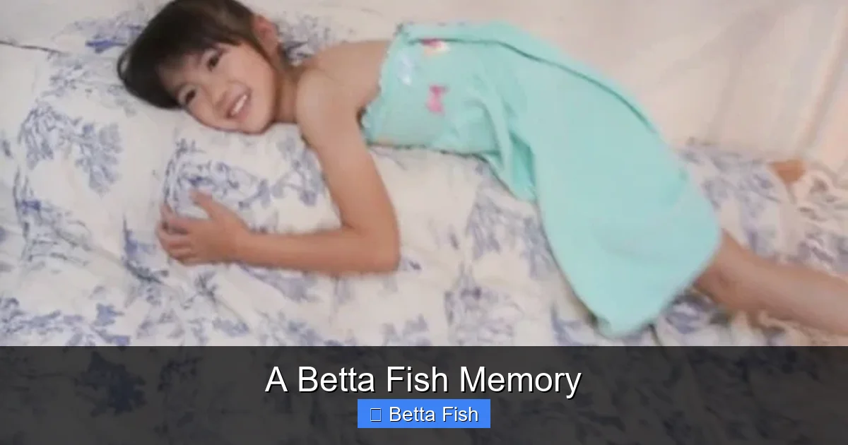 A Betta Fish Memory