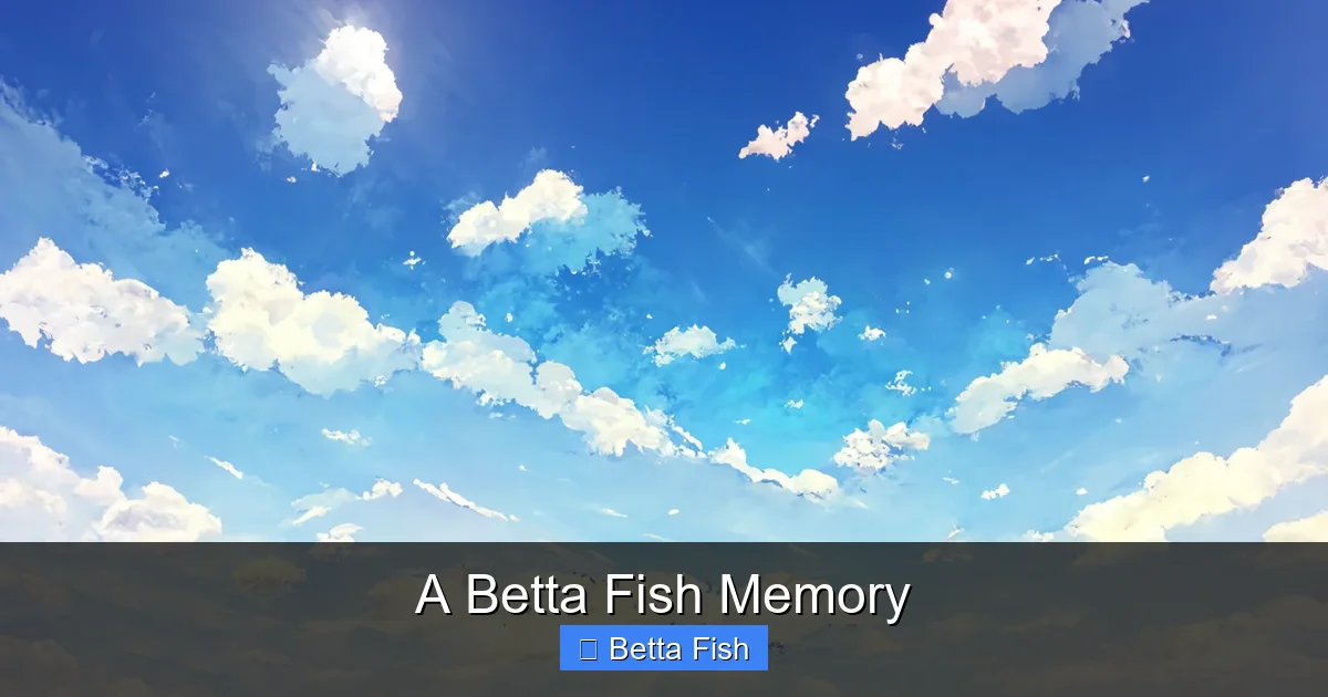 A Betta Fish Memory
