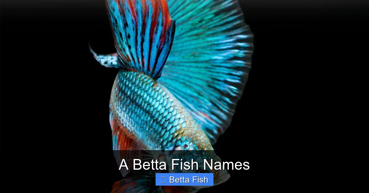 A Betta Fish Names