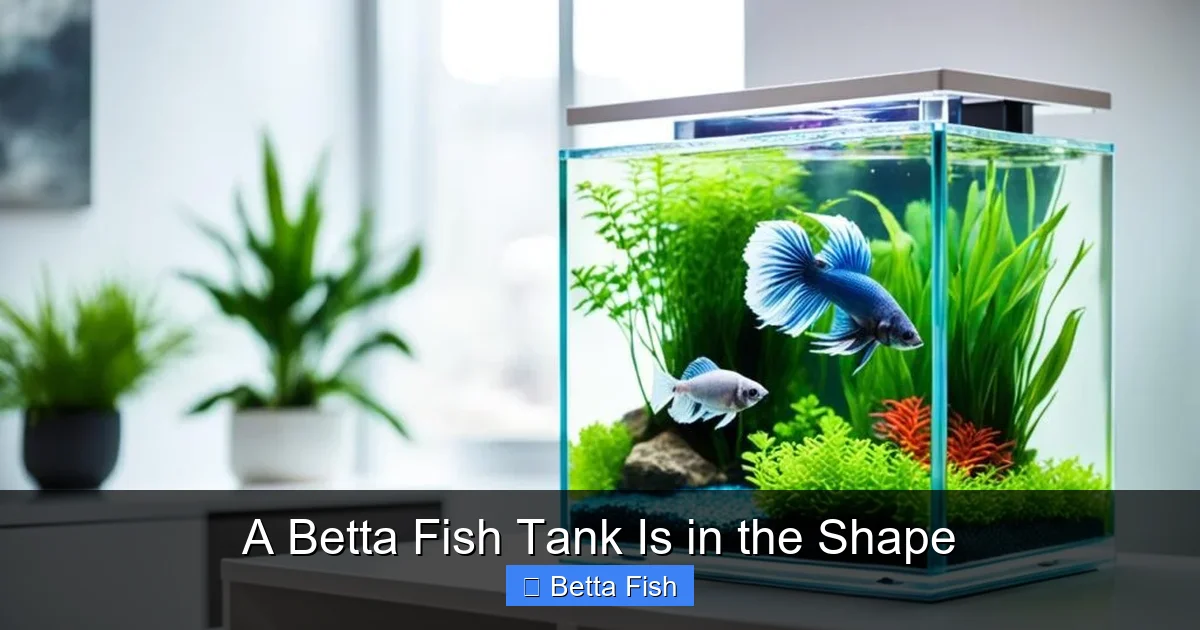 A Betta Fish Tank Is in the Shape