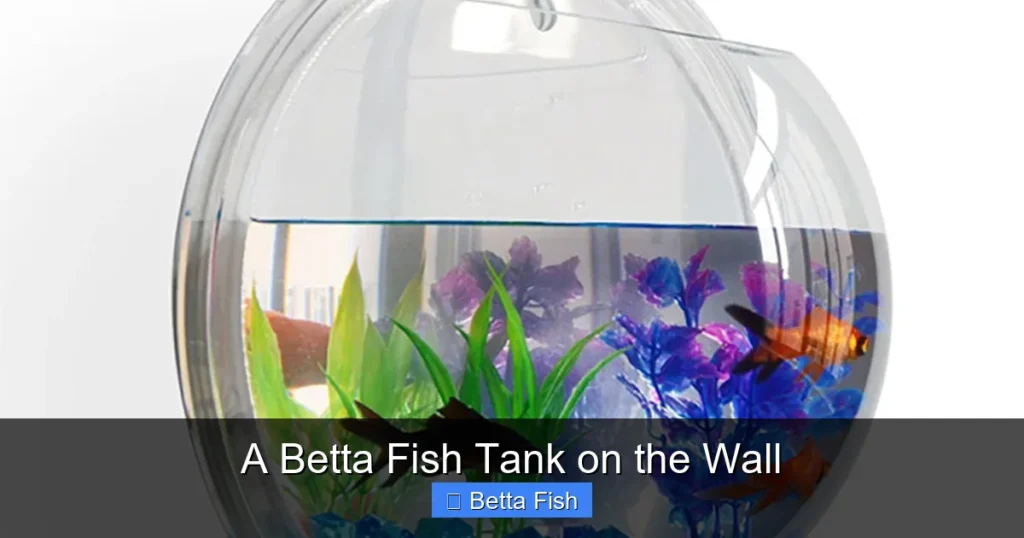 A Betta Fish Tank on the Wall