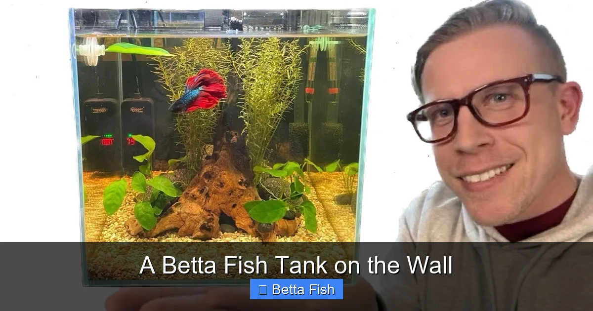 A Betta Fish Tank on the Wall